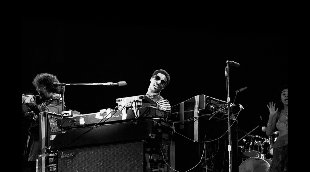 166_Stevie Wonder 2 (24 x 16)